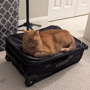 Meet your Posher, Grace